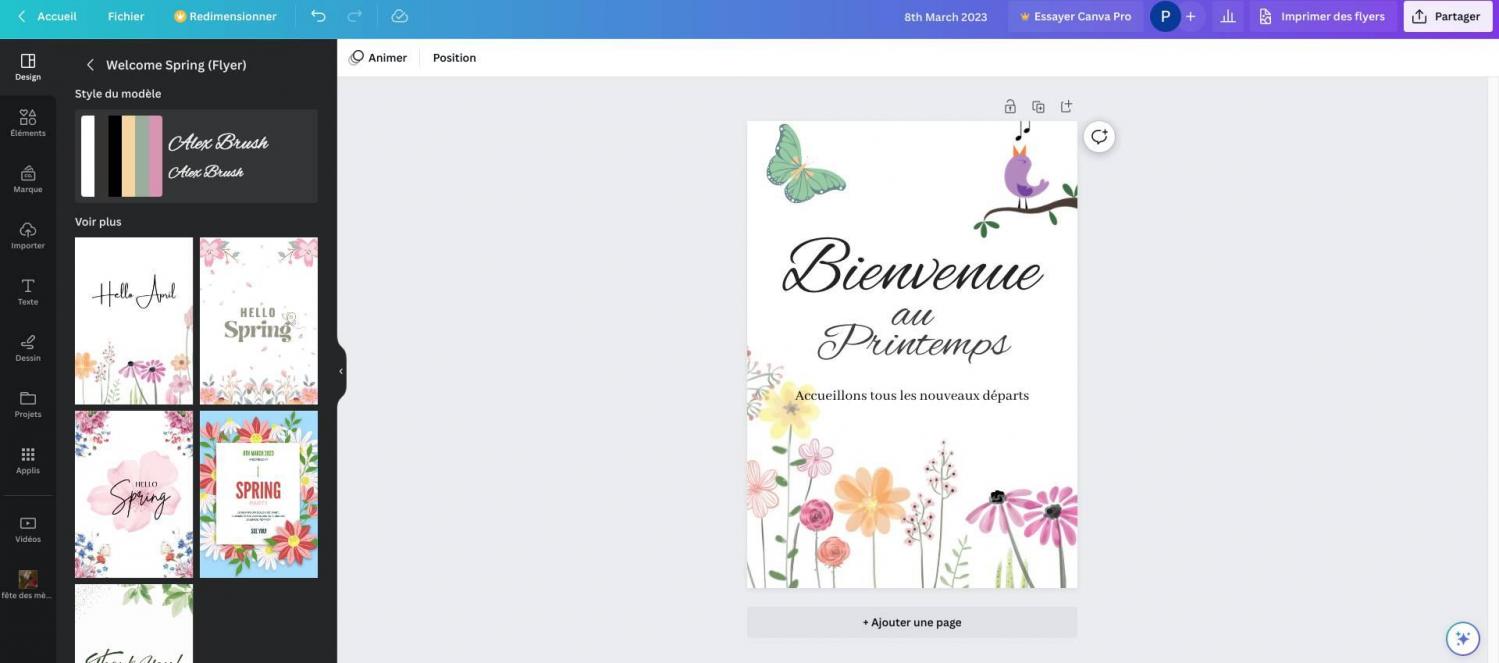Les modeles canva
